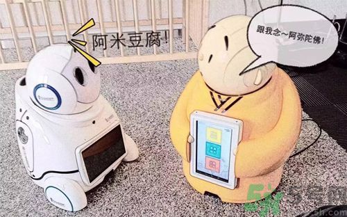 機(jī)器僧哪里可以買到？機(jī)器僧多少錢？