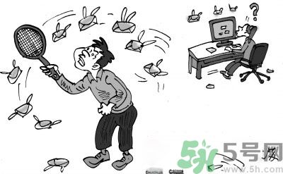 1分鐘被騙334萬 釣魚郵件內(nèi)容是什么？