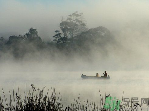 往同學(xué)保溫杯中倒墨汁 誤食墨水怎么辦？