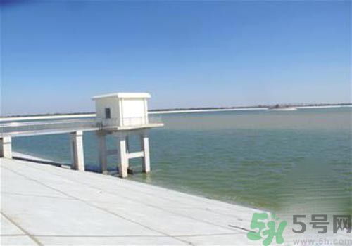 哪些地方的地下水不能飲用？為什么八成地下水不能飲用？