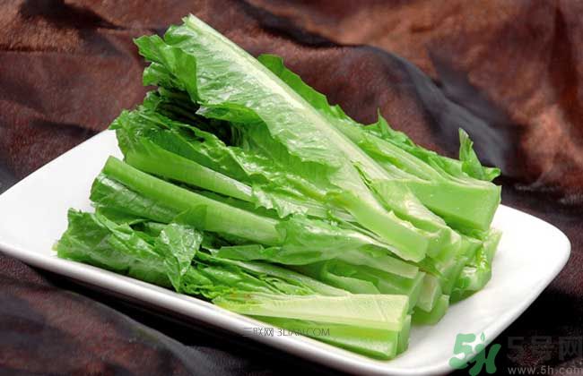 萵筍葉子能吃嗎？萵筍葉子吃了好不好？