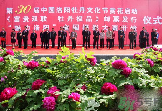 洛陽牡丹文化節(jié)活動有哪些？洛陽牡丹文化節(jié)門票是多少？