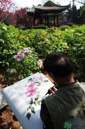 洛陽牡丹文化節(jié)活動有哪些？洛陽牡丹文化節(jié)門票是多少？