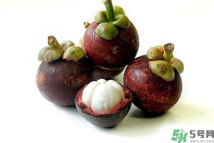 吃山竹可以降火嗎？吃山竹是降火還是上火？