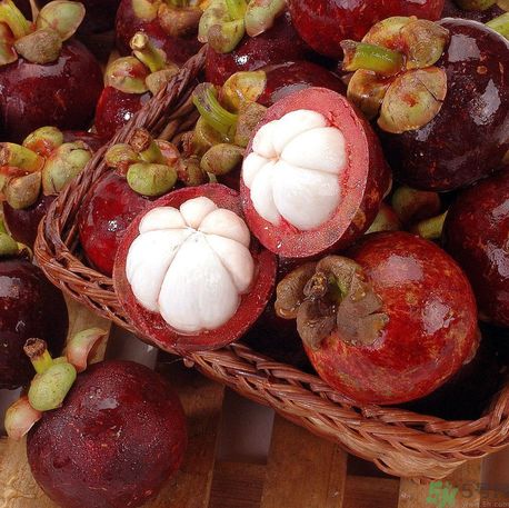 山竹可以和牛奶一起吃嗎？山竹和牛奶一起吃好嗎？