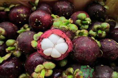 山竹可以和牛奶一起吃嗎？山竹和牛奶一起吃好嗎？