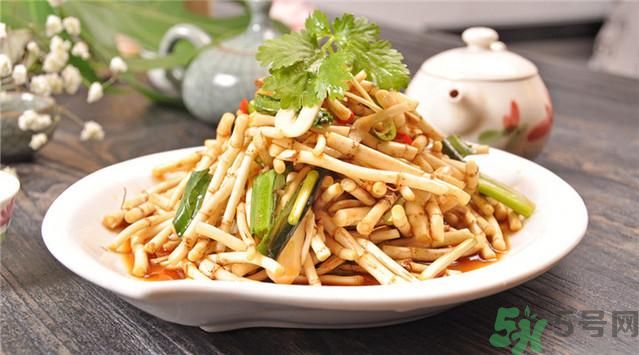 魚腥草可以止咳嗎？魚腥草止咳的辦法有哪些？