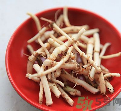 魚(yú)腥草可以和雪梨冰糖煮水喝嗎？魚(yú)腥草雪梨煲有什么好？