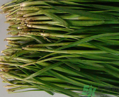 韭菜是壯陽(yáng)的嗎?吃韭菜是不是壯陽(yáng)?.png 韭菜是壯陽(yáng)的嗎?吃韭菜是不是壯陽(yáng)?.png