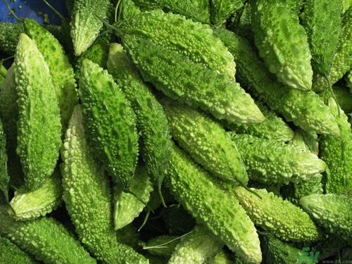 苦瓜和檸檬可以一起泡水喝嗎？苦瓜和檸檬泡水喝好嗎？