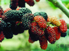 1460528385737759.png Image 002.png