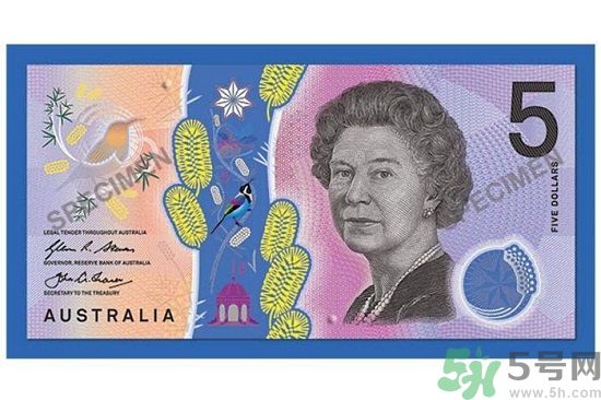 新版5澳元為什么被吐槽？新版5澳元是多少錢？