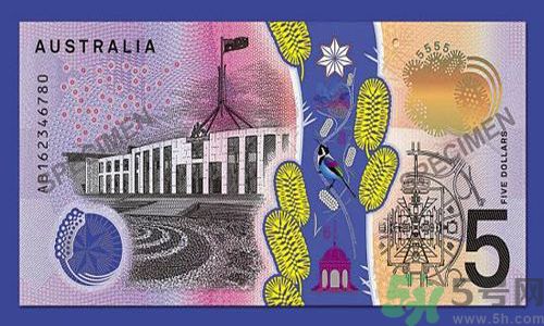 新版5澳元為什么被吐槽？新版5澳元是多少錢？