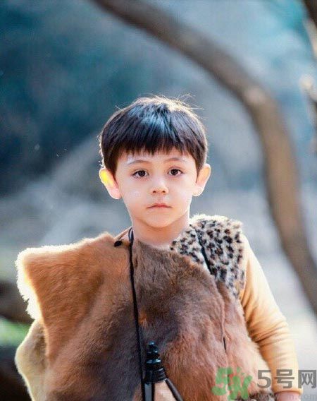 諾一雪梨是誰？為什么叫諾一雪梨？