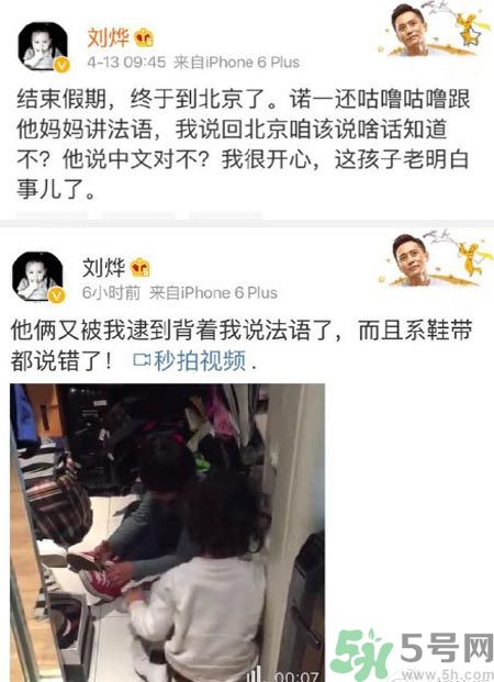 諾一雪梨是誰？為什么叫諾一雪梨？