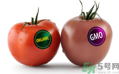 農(nóng)業(yè)部怎樣回應轉(zhuǎn)基因食品？轉(zhuǎn)基因的食物有哪些？