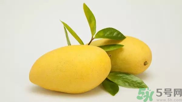 吃芒果能減肥嗎？吃芒果減肥可以嗎？