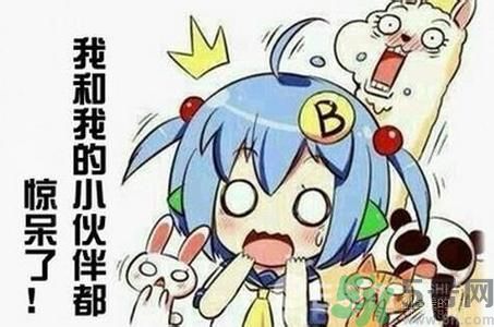 自創(chuàng)職業(yè)逗悶師是做什么的？自創(chuàng)職業(yè)逗悶師工資多少？