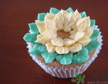 多肉蛋糕怎么做好吃?多肉蛋糕的做法大全.png 多肉蛋糕怎么做好吃?多肉蛋糕的做法大全.png