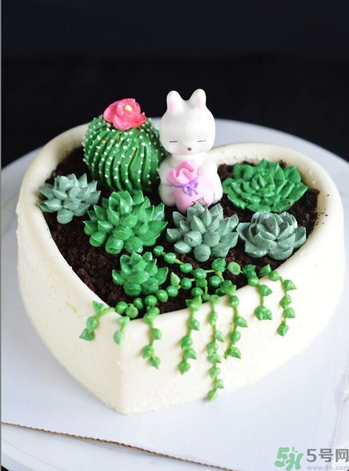 什么是多肉蛋糕？多肉蛋糕怎么做？