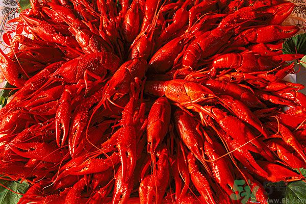 油燜大蝦蝦皮能吃嗎？油燜大蝦能全部吃掉嗎？