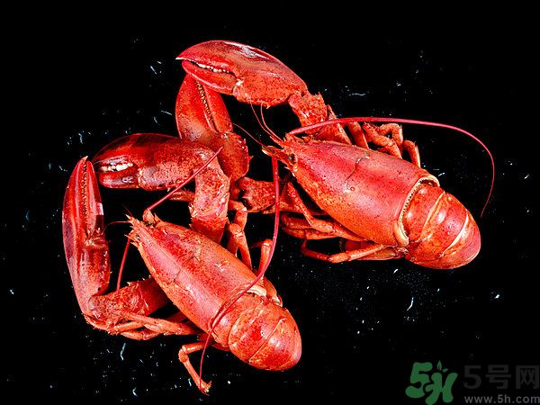 油燜大蝦為什么肉散了？油燜大蝦怎么做肉不散？