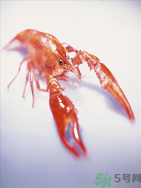 油燜大蝦為什么肉散了？油燜大蝦怎么做肉不散？