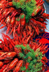 油燜大蝦用的是什么蝦？油燜大蝦用什么蝦最好？