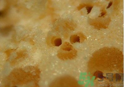 經(jīng)常用一次性筷子可以嗎？一次性筷子有病毒嗎？