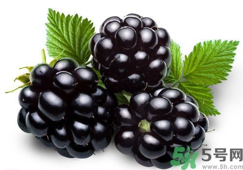 膽囊炎能吃桑葚嗎？膽囊炎吃桑葚好嗎？