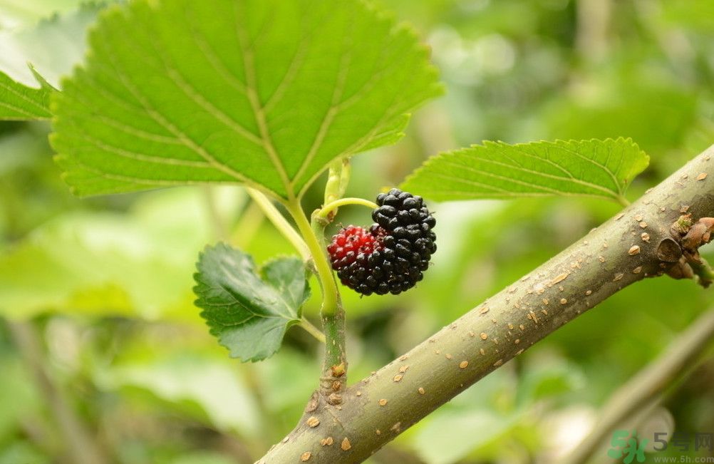 1461057058175180.jpg 壓根大法師要 規(guī)奪奪方 067.jpg