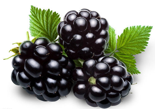 膽囊炎能吃桑葚嗎？膽囊炎吃桑葚好嗎？