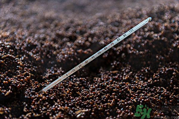 嬰兒測(cè)溫湯匙怎么樣？嬰兒測(cè)溫湯匙好用嗎？