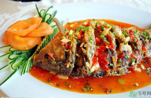 世界上最好吃的魚是什么？好吃的魚店有哪些？