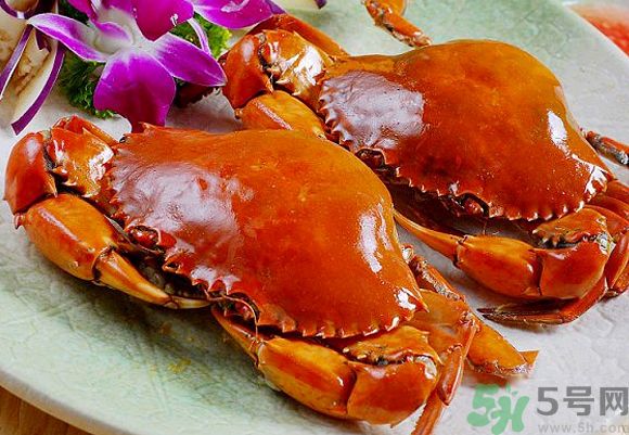 三亞文昌雞好吃嗎？正宗三亞文昌雞可以去哪吃？