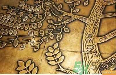 茍姓被開(kāi)玩笑4小孩獲批改姓敬 最尷尬的姓氏是什么？