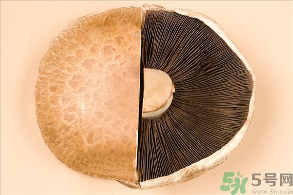 菇類的營(yíng)養(yǎng)價(jià)值有哪些？怎樣挑選優(yōu)質(zhì)的菇類？