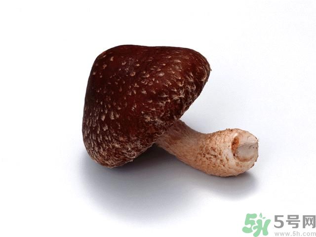 西紅柿發(fā)青可以吃嗎？青西紅柿吃了好不好？