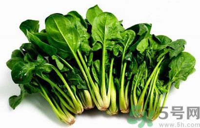 菠菜可以炒韭菜嗎？菠菜和韭菜一起吃怎么樣？