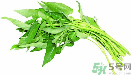 空心菜和雞能一起吃嗎？空心菜怎么吃有營養(yǎng)？