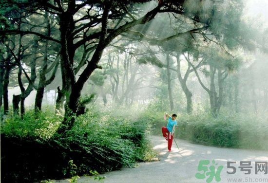 晨練前要不要吃早餐呢？晨練應該吃早餐嗎？