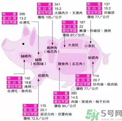 五花肉是什么意思?五花肉是什么樣子的?.png 五花肉是什么意思?五花肉是什么樣子的?.png
