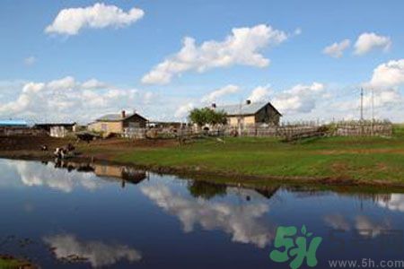 呼倫貝爾河為什么被污染？喝了呼倫貝爾河污染的水會怎么樣？