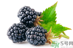 桑葚什么時候成熟?桑葚什么時候吃最好 桑葚什么時候成熟?桑葚什么時候吃最好