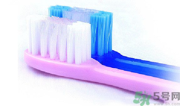 牙齦出血要換牙刷嗎？牙刷多久換一次好？