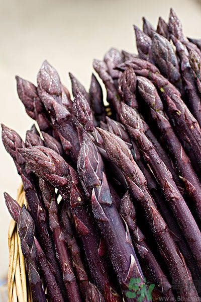 紫蘆筍是轉(zhuǎn)基因嗎？紫蘆筍和綠蘆筍哪個(gè)好？