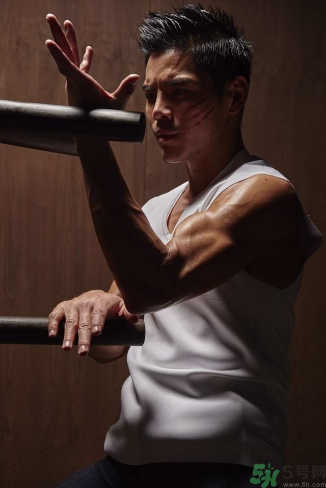 李連杰為什么故意打向佐？向佐是誰？