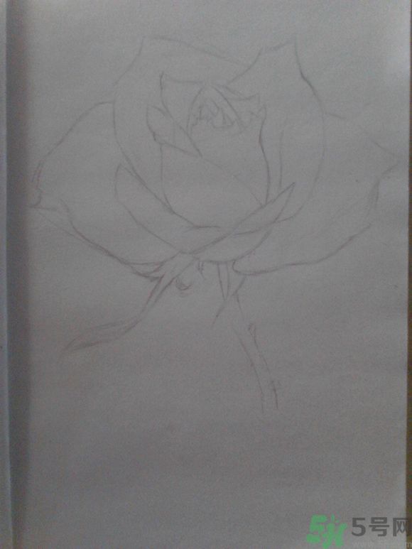 16歲少年圓珠筆畫出大作 圓珠筆畫入門怎么學(xué)？