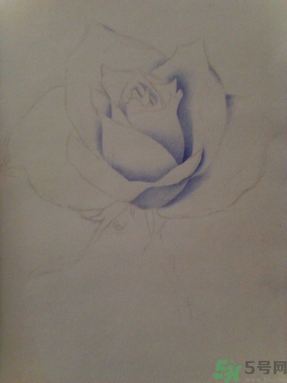 16歲少年圓珠筆畫出大作 圓珠筆畫入門怎么學(xué)？