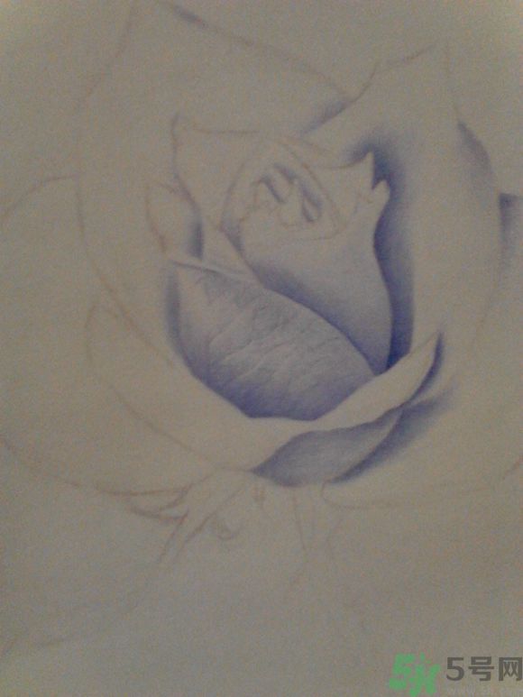 16歲少年圓珠筆畫出大作 圓珠筆畫入門怎么學(xué)？